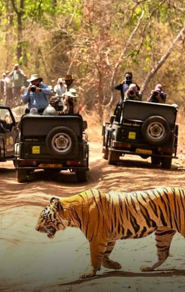 Ranthambore