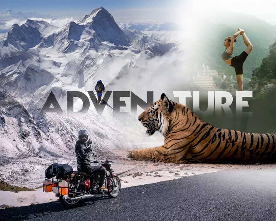 Conquer new heights with trekking tours and more!
