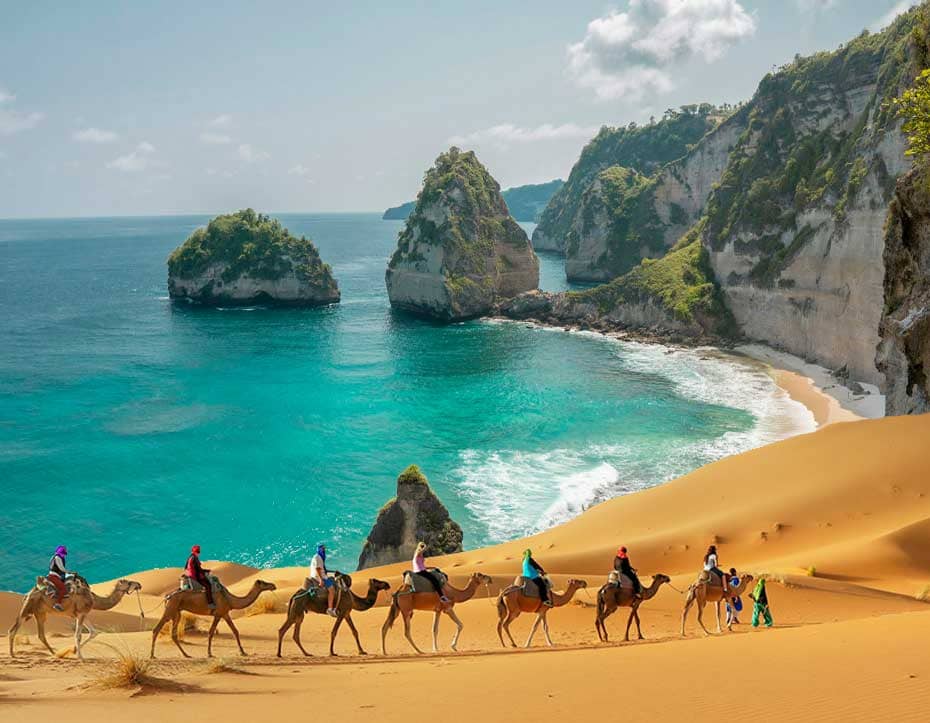 Explore the Launch of New International Holiday Packages