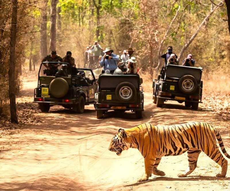 Thrilling Adventure Packages